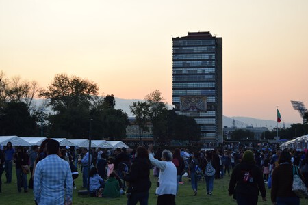 Pexels Israwmx 17415163