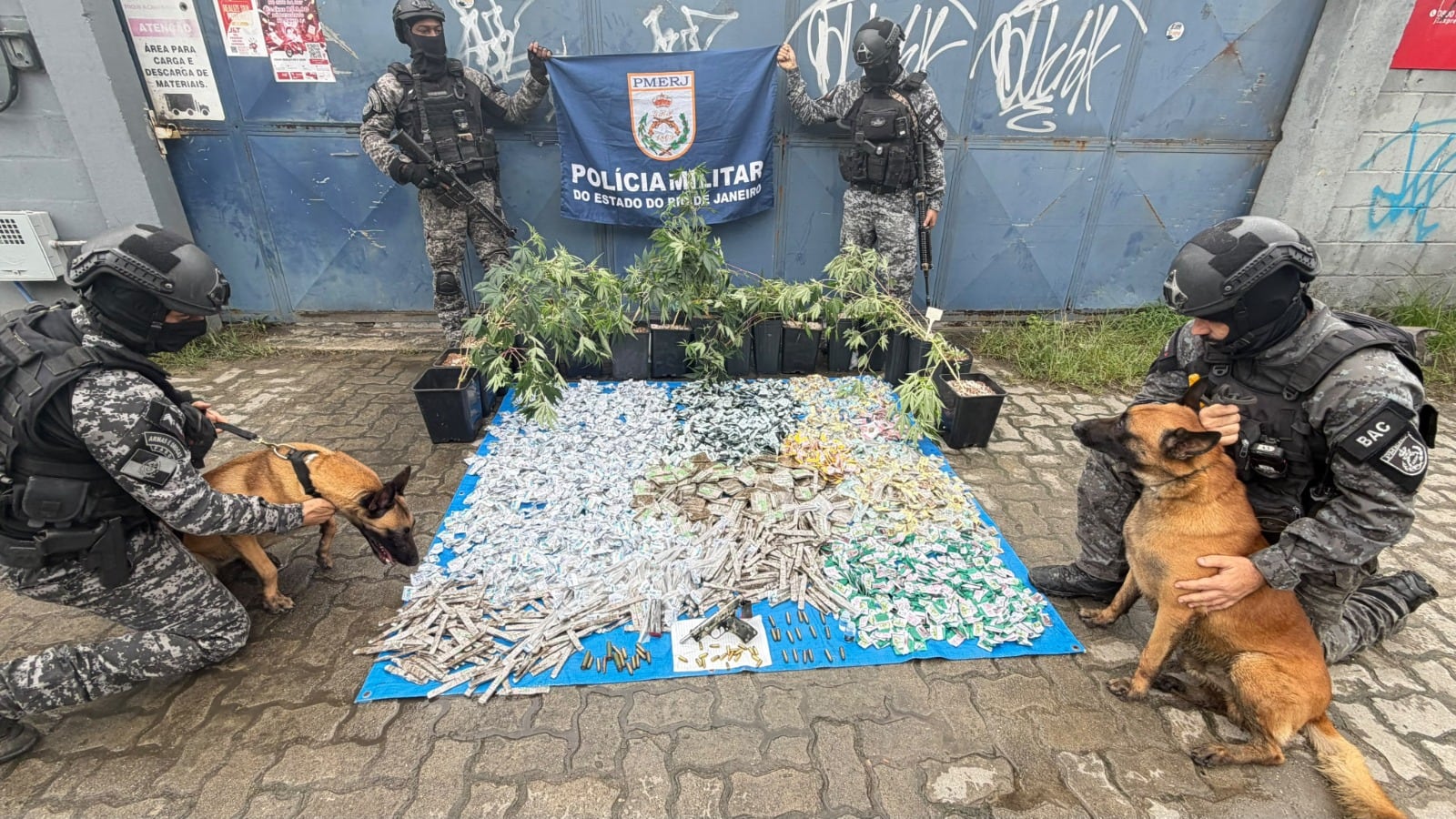 Equipe do BAC encontrou drogas com ajuda dos cães Hulk e Ira Reprodução/Polícia Militar