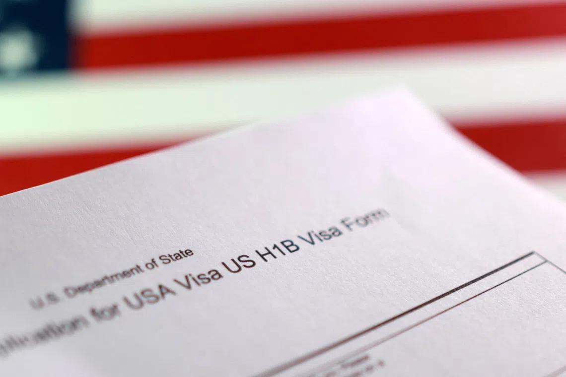 The visa programme allows tech and other professionals from abroad to work in the United States for a few years.