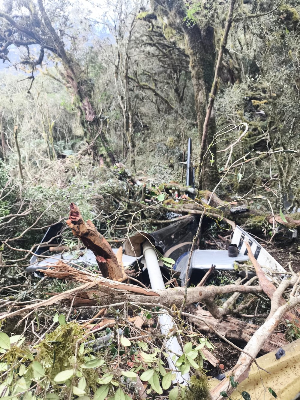 Destroços do helicóptero que caiu e resultou na morte do cantor Rick e de outras quatro pessoas em SC — Foto: Equipe de Caçadores do Barriga
