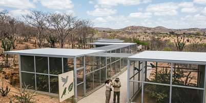 Imagem gerada por Intelig&ecirc;ncia Artificial, que n&atilde;o tem o objetivo de refletir ou retratar situa&ccedil;&otilde;es reais. Foto: Imagem: gerada por IA / Portal Terra
