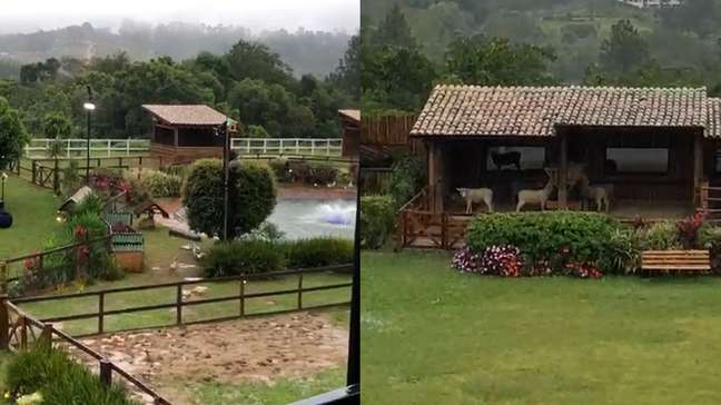 A Fazenda 18: madrugada tem esbarrão polêmico, gritaria e 'romance falso'; confira o resumo