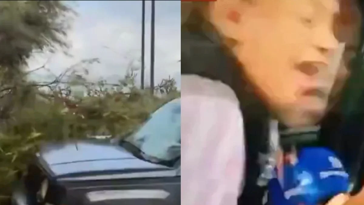 Repórter atropelada ao vivo atualiza estado de saúde: “Um milagre”