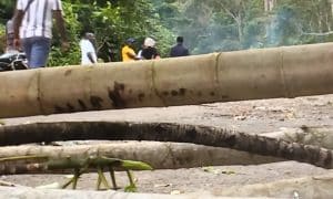 A ponte que desligou o distrito de Lembá em 2021 ainda sem obras de construção